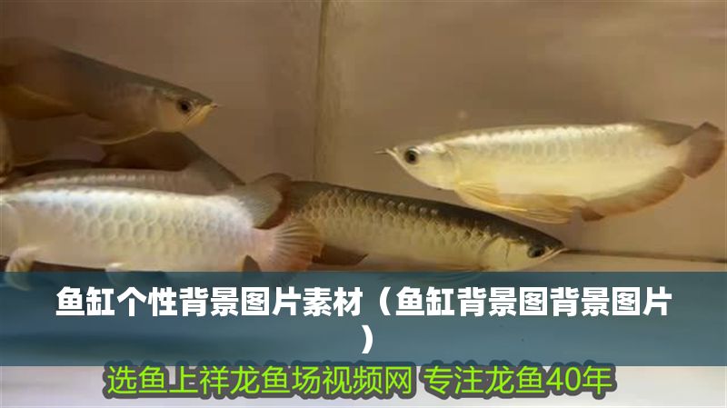 魚(yú)缸個(gè)性背景圖片素材（魚(yú)缸背景圖背景圖片）
