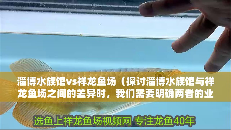 淄博水族館vs祥龍魚場（探討淄博水族館與祥龍魚場之間的差異時，我們需要明確兩者的業務和特點）