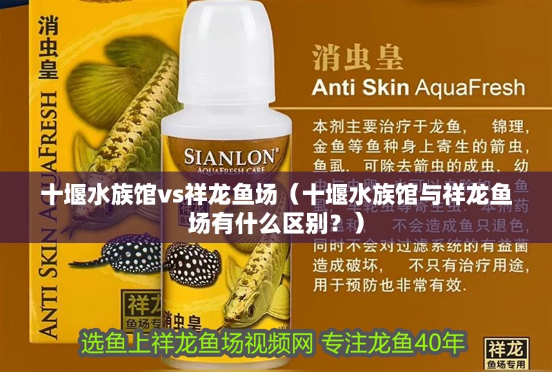 十堰水族館vs祥龍魚場（十堰水族館與祥龍魚場有什么區別？） 十堰水族館vs祥龍魚場（十堰水族館與祥龍魚場有什么區別？） 全國水族館企業名錄 第1張