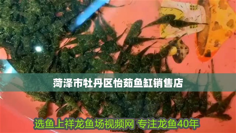 菏澤市牡丹區怡茹魚缸銷售店