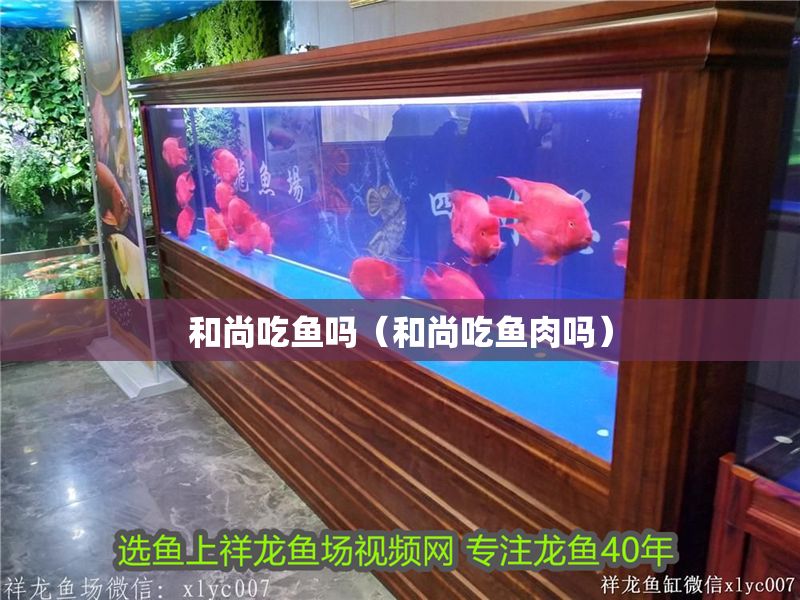 和尚吃魚嗎（和尚吃魚肉嗎）