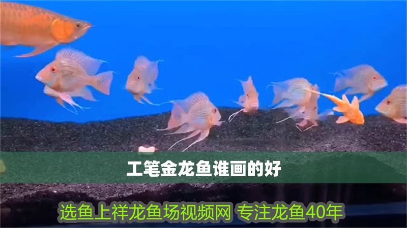 工筆金龍魚誰畫的好
