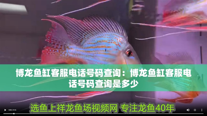 博龍魚缸客服電話號碼查詢：博龍魚缸客服電話號碼查詢是多少 博龍魚缸客服電話號碼查詢：博龍魚缸客服電話號碼查詢是多少 水族問答