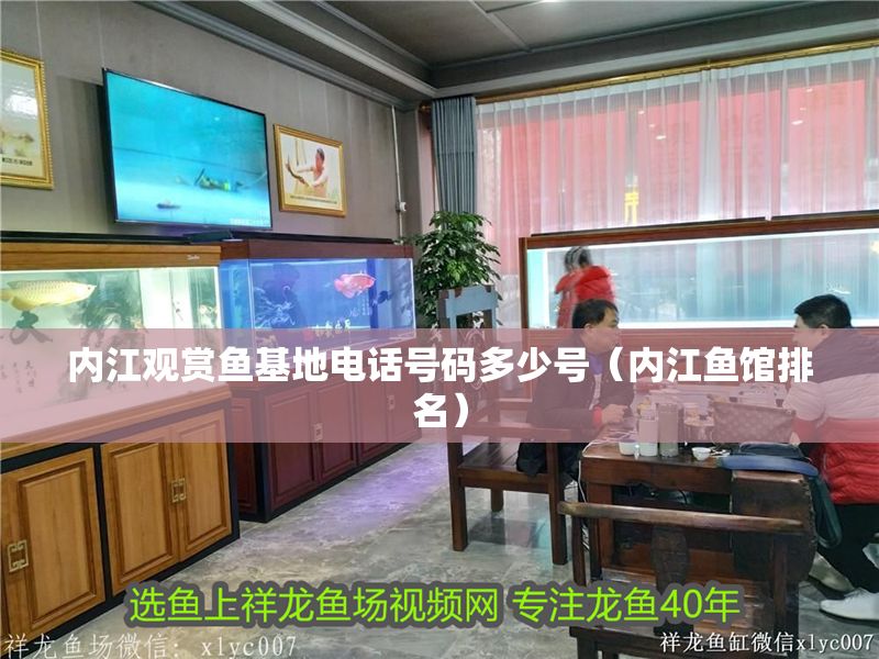 內江觀賞魚基地電話號碼多少號（內江魚館排名）