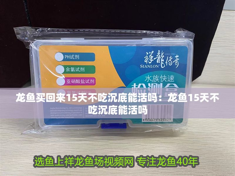 龍魚買回來15天不吃沉底能活嗎：龍魚15天不吃沉底能活嗎