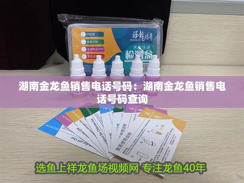 湖南金龍魚銷售電話號(hào)碼:湖南金龍魚銷售電話號(hào)碼查詢 水族問答 湖南金龍魚銷售電話號(hào)碼:湖南金龍魚銷售電話號(hào)碼查詢 湖南金龍魚銷售電話號(hào)碼:湖南金龍魚銷售電話號(hào)碼查詢 水族問答