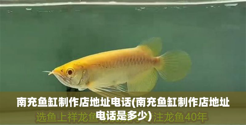 南充魚缸制作店地址電話(南充魚缸制作店地址電話是多少)