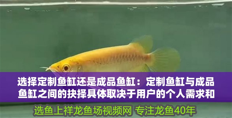 選擇定制魚缸還是成品魚缸：定制魚缸與成品魚缸之間的抉擇具體取決于用戶的個人需求和偏好