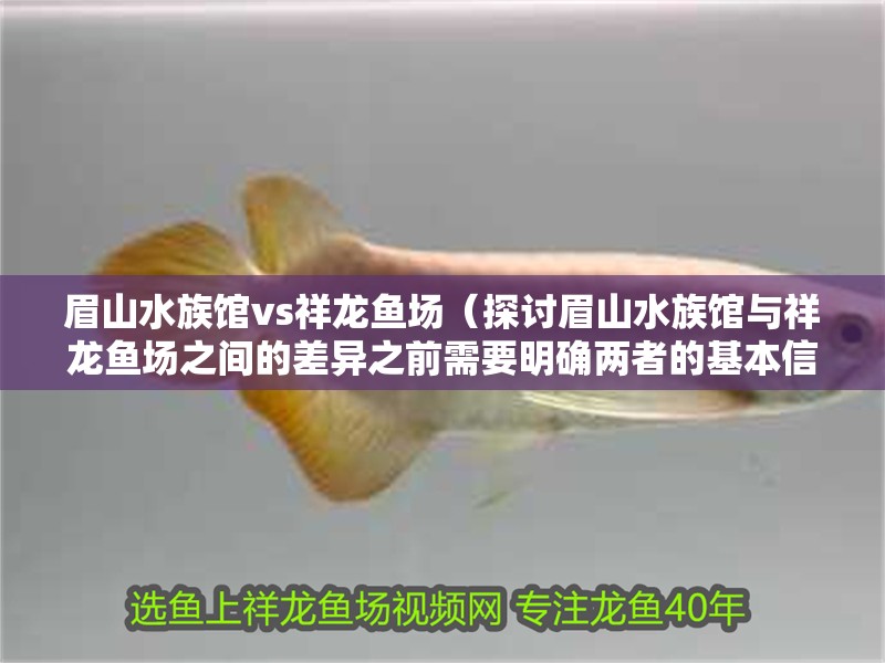 眉山水族館vs祥龍魚場（探討眉山水族館與祥龍魚場之間的差異之前需要明確兩者的基本信息）