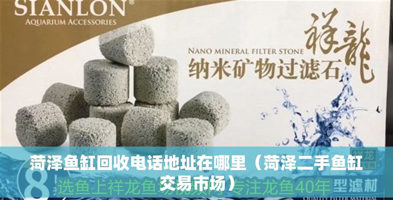 菏澤魚缸回收電話地址在哪里（菏澤二手魚缸交易市場） 菏澤魚缸回收電話地址在哪里（菏澤二手魚缸交易市場） 龍魚百科 第1張