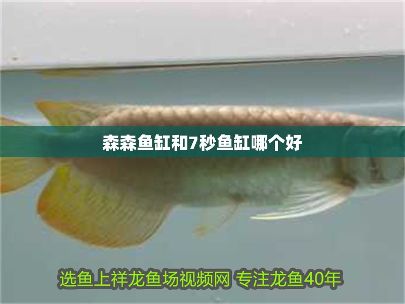 森森魚缸和7秒魚缸哪個好
