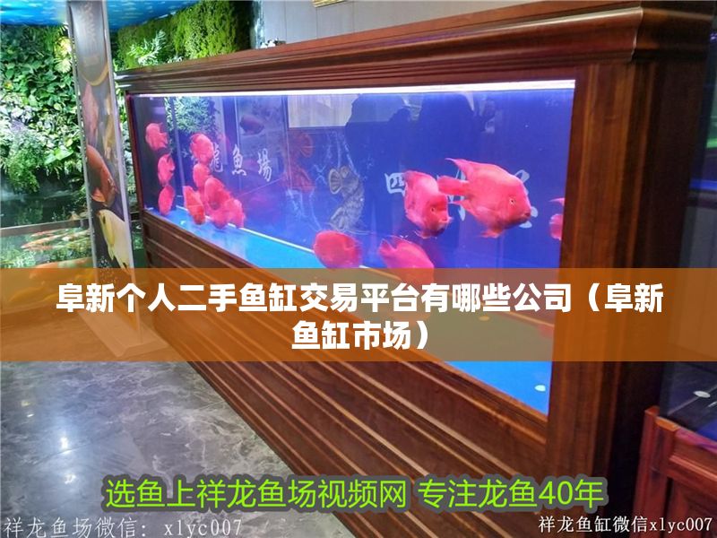 阜新個人二手魚缸交易平臺有哪些公司（阜新魚缸市場）