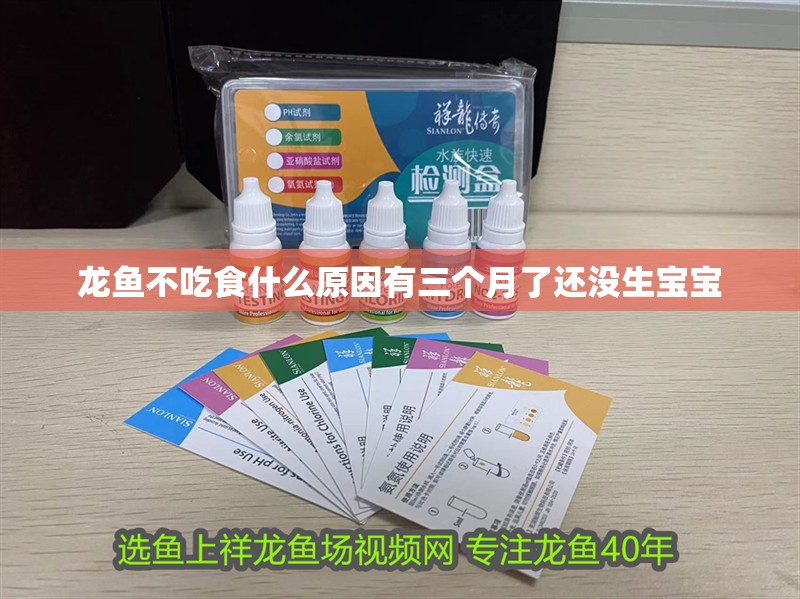 龍魚不吃食什么原因有三個月了還沒生寶寶 龍魚不吃食什么原因有三個月了還沒生寶寶 龍魚百科 第1張