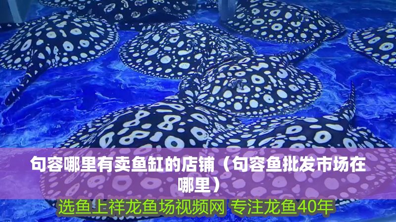 <strong><mark>句容</mark></strong>哪里有賣魚缸的店鋪（<strong><mark>句容</mark></strong>魚批發市場在哪里）