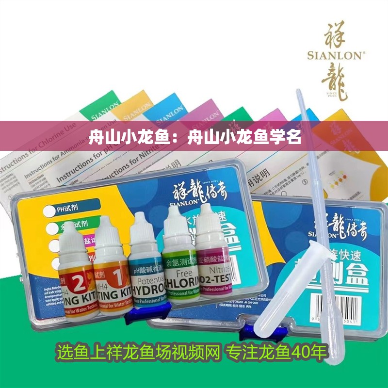 <strong><mark>舟山</mark></strong>小龍魚：<strong><mark>舟山</mark></strong>小龍魚學名