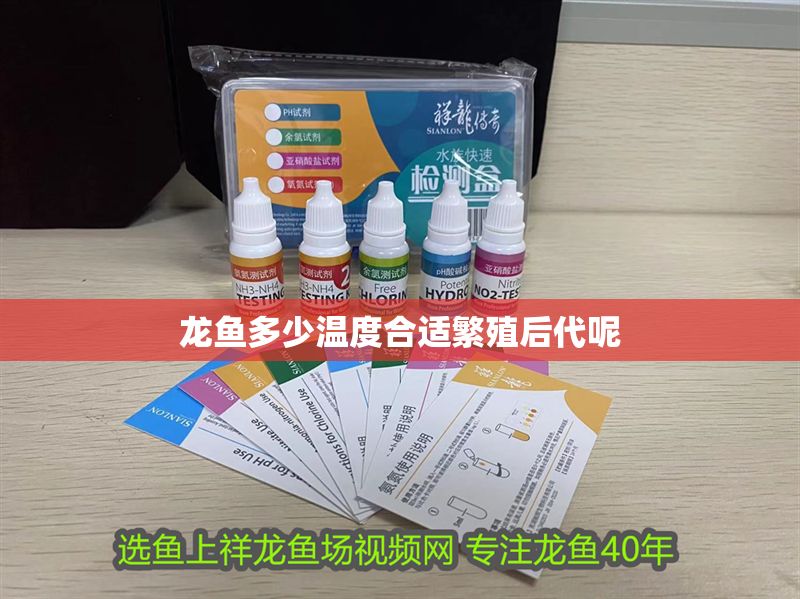 龍魚多少溫度合適繁殖后代呢