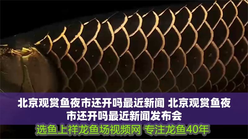 <strong><mark>北京</mark></strong>觀賞魚夜市還開嗎最近新聞 <strong><mark>北京</mark></strong>觀賞魚夜市還開嗎最近新聞發布會