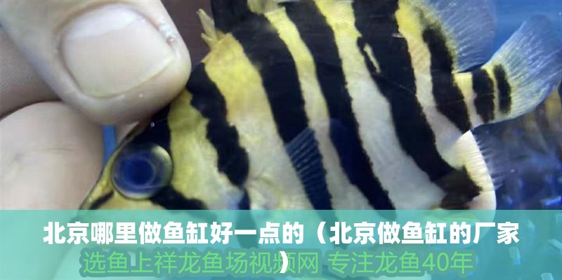 北京哪里做魚缸好一點的（北京做魚缸的廠家） 北京哪里做魚缸好一點的（北京做魚缸的廠家） 龍魚百科 第1張