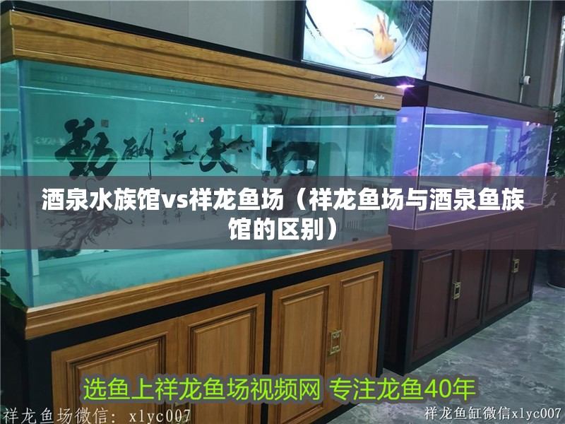 酒泉水族館vs祥龍魚場（祥龍魚場與酒泉魚族館的區別）