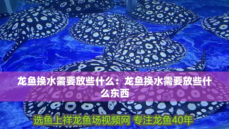 龍魚換水需要放些什么：龍魚換水需要放些什么東西