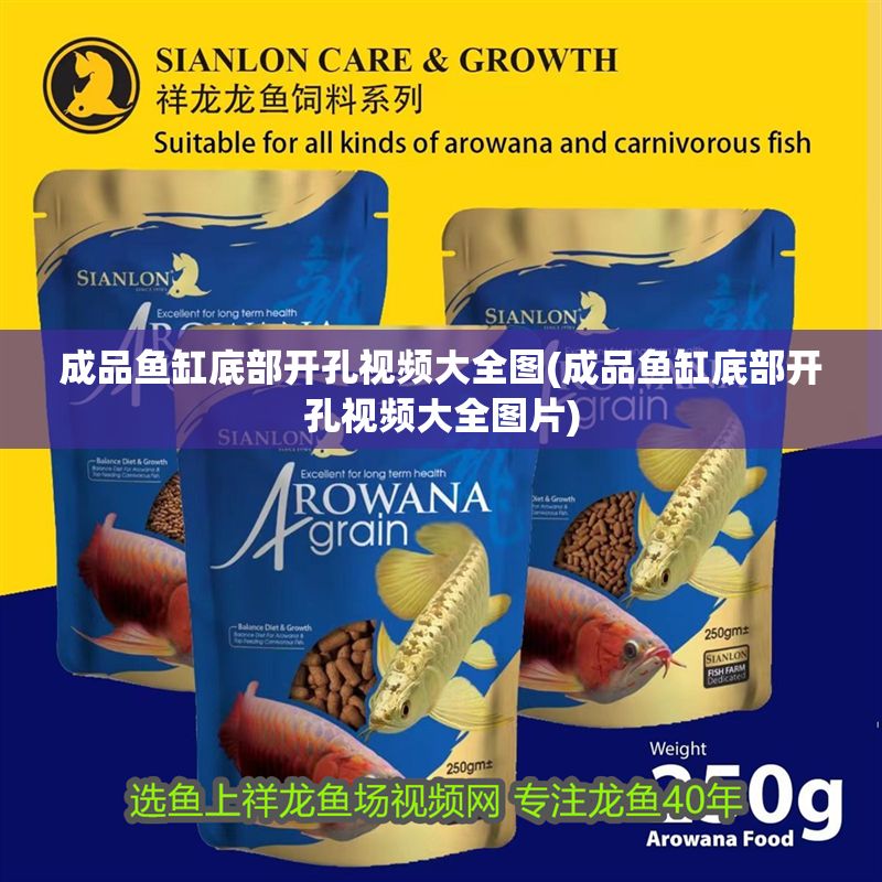 成品魚缸底部開孔視頻大全圖(成品魚缸底部開孔視頻大全圖片)