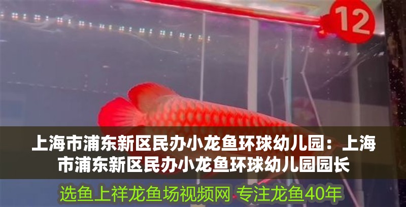 上海市浦東新區民辦小龍魚環球幼兒園:上海市浦東新區民辦小龍魚環球幼兒園園長 水族問答 上海市浦東新區民辦小龍魚環球幼兒園:上海市浦東新區民辦小龍魚環球幼兒園園長 上海市浦東新區民辦小龍魚環球幼兒園:上海市浦東新區民辦小龍魚環球幼兒園園長 水族問答