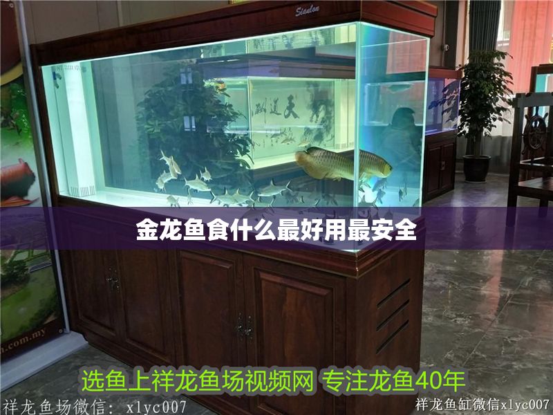 金龍魚(yú)食什么最好用最安全 金龍魚(yú)食什么最好用最安全 龍魚(yú)百科 第2張