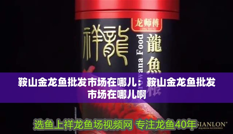 鞍山金龍魚批發(fā)市場在哪兒：鞍山金龍魚批發(fā)市場在哪兒啊