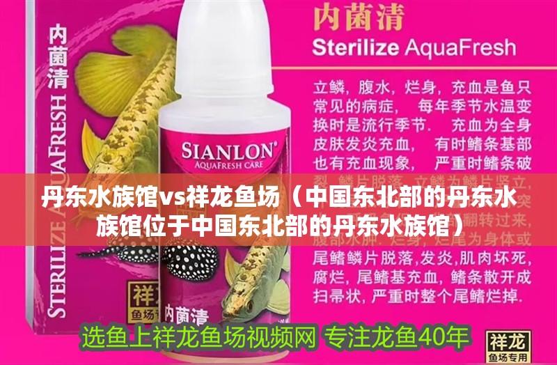 丹東水族館vs祥龍魚場（中國東北部的丹東水族館位于中國東北部的丹東水族館）