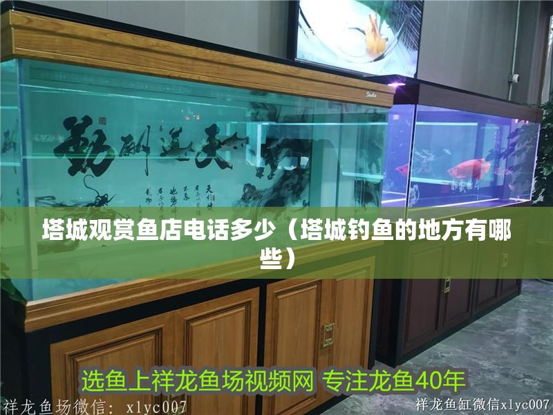 塔城觀賞魚店電話多少（塔城釣魚的地方有哪些） 塔城觀賞魚店電話多少（塔城釣魚的地方有哪些） 龍魚百科 第1張