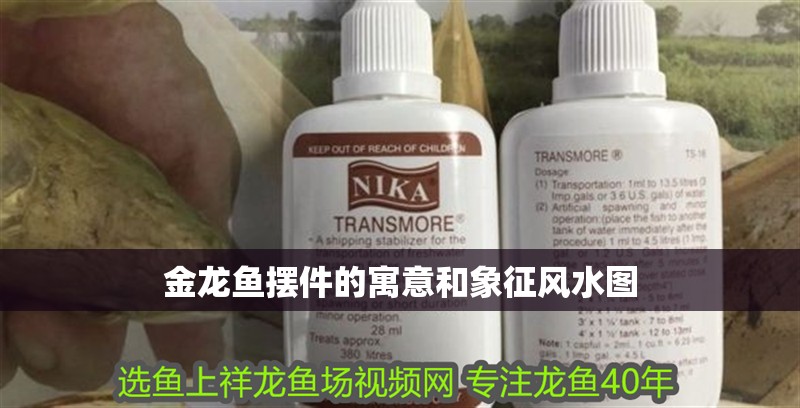 金龍魚擺件的寓意和象征風水圖 金龍魚擺件的寓意和象征風水圖 龍魚百科 第2張