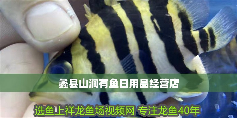 蠡縣山澗有魚日用品經營店