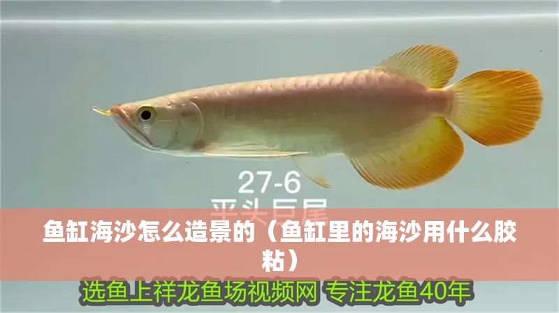 魚缸海沙怎么造景的（魚缸里的海沙用什么膠粘）