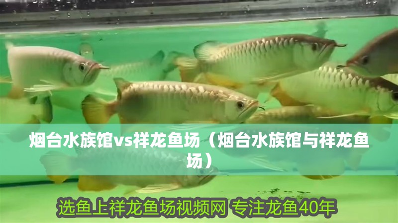 煙臺水族館vs祥龍魚場（煙臺水族館與祥龍魚場）