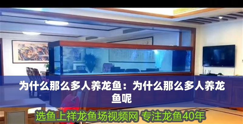 為什么那么多人養龍魚：為什么那么多人養龍魚呢