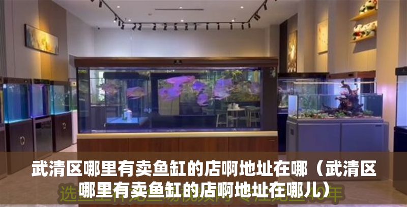 武清區哪里有賣魚缸的店啊地址在哪（武清區哪里有賣魚缸的店啊地址在哪兒）