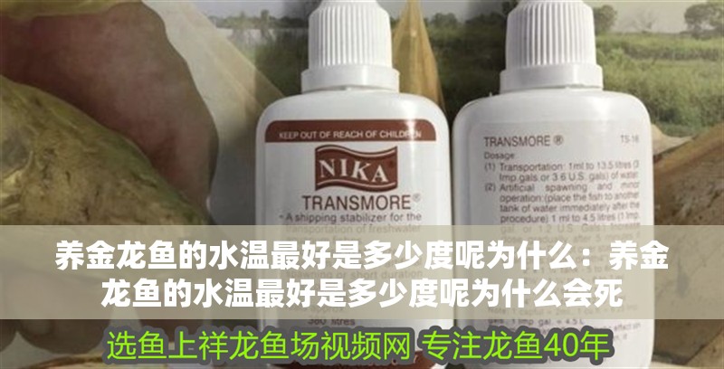 養金龍魚的水溫最好是多少度呢為什么：養金龍魚的水溫最好是多少度呢為什么會死