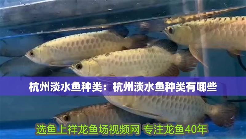 杭州淡水魚種類：杭州淡水魚種類有哪些