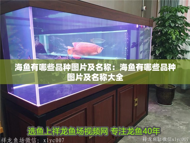 海魚有哪些品種圖片及名稱：海魚有哪些品種圖片及名稱大全 海魚有哪些品種圖片及名稱：海魚有哪些品種圖片及名稱大全 龍魚百科 第2張