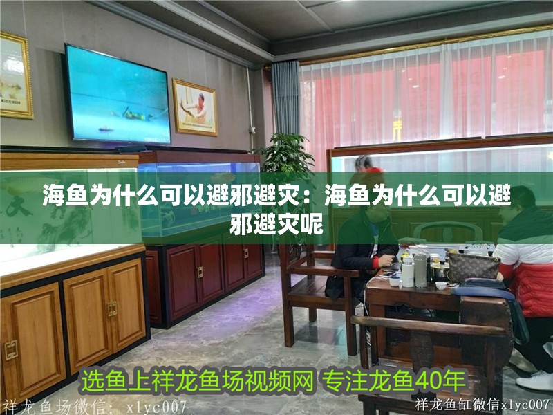 海魚為什么可以避邪避災(zāi)：海魚為什么可以避邪避災(zāi)呢
