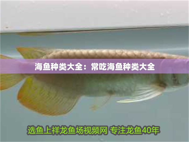 海魚種類大全：常吃海魚種類大全