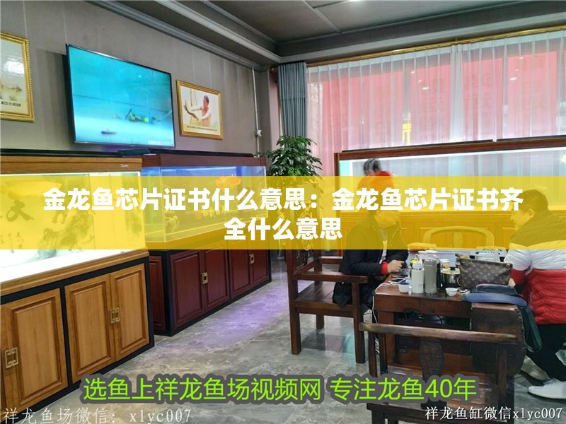 金龍魚芯片證書什么意思：金龍魚芯片證書齊全什么意思 金龍魚芯片證書什么意思：金龍魚芯片證書齊全什么意思 水族問答