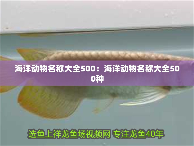 海洋動物名稱大全500：海洋動物名稱大全500種