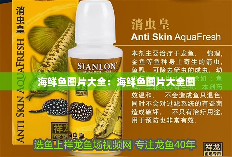 海鮮魚圖片大全:海鮮魚圖片大全圖 龍魚百科 第2張 海鮮魚圖片大全:海鮮魚圖片大全圖 海鮮魚圖片大全:海鮮魚圖片大全圖 龍魚百科 第2張