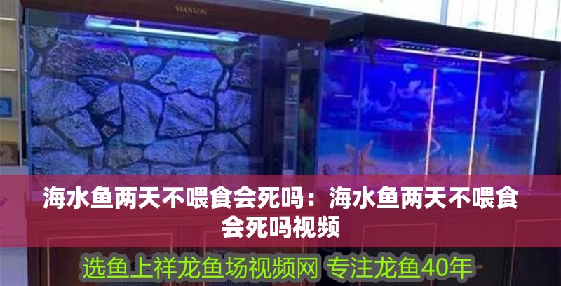 海水魚兩天不喂食會死嗎：海水魚兩天不喂食會死嗎視頻