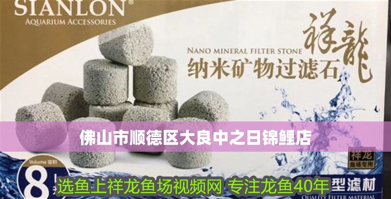 佛山市順德區大良中之日錦鯉店