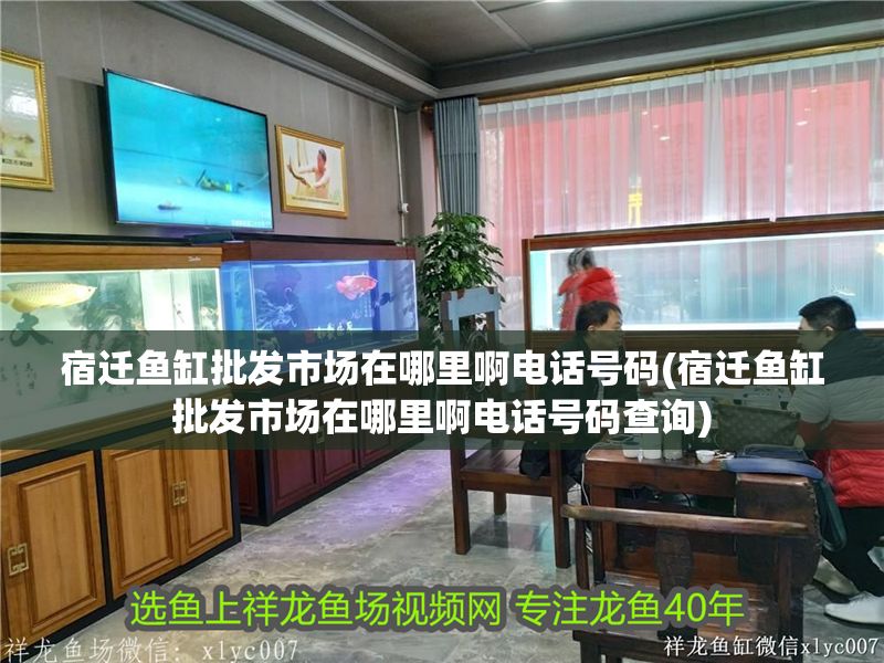 宿遷魚缸批發市場在哪里啊電話號碼(宿遷魚缸批發市場在哪里啊電話號碼查詢)