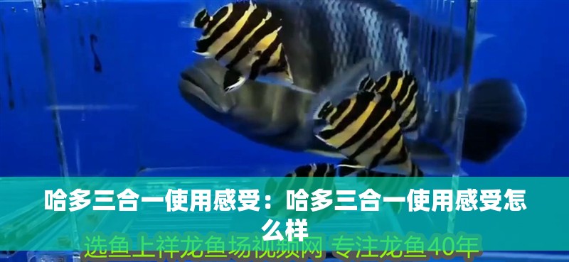 哈多三合一使用感受：哈多三合一使用感受怎么樣