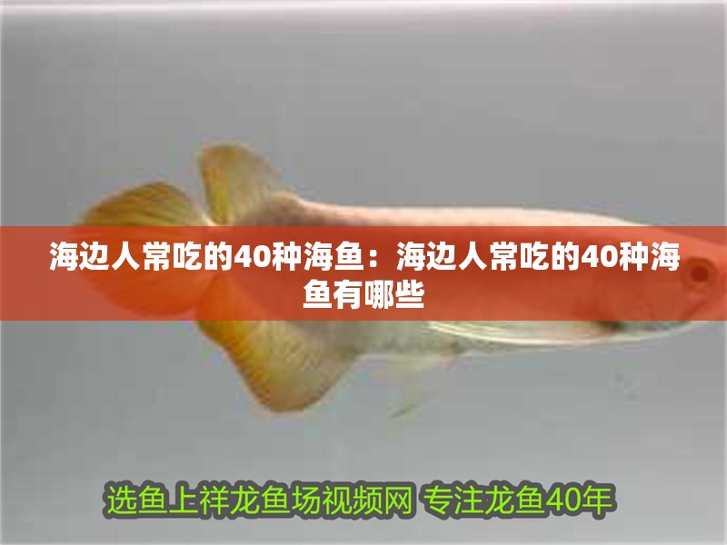 海邊人常吃的40種海魚：海邊人常吃的40種海魚有哪些 海邊人常吃的40種海魚：海邊人常吃的40種海魚有哪些 龍魚百科 第2張