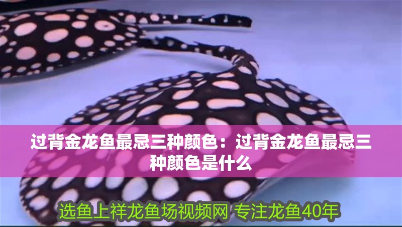 過背金龍魚最忌三種顏色：過背金龍魚最忌三種顏色是什么